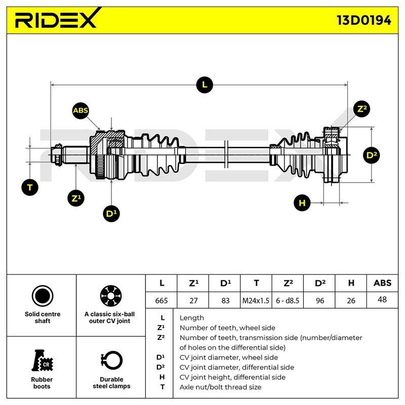 TRN-MSC-RID-BMW-NEW-0108 #4