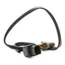ELE-SEN-RID-BMW-NEW-0112 #3