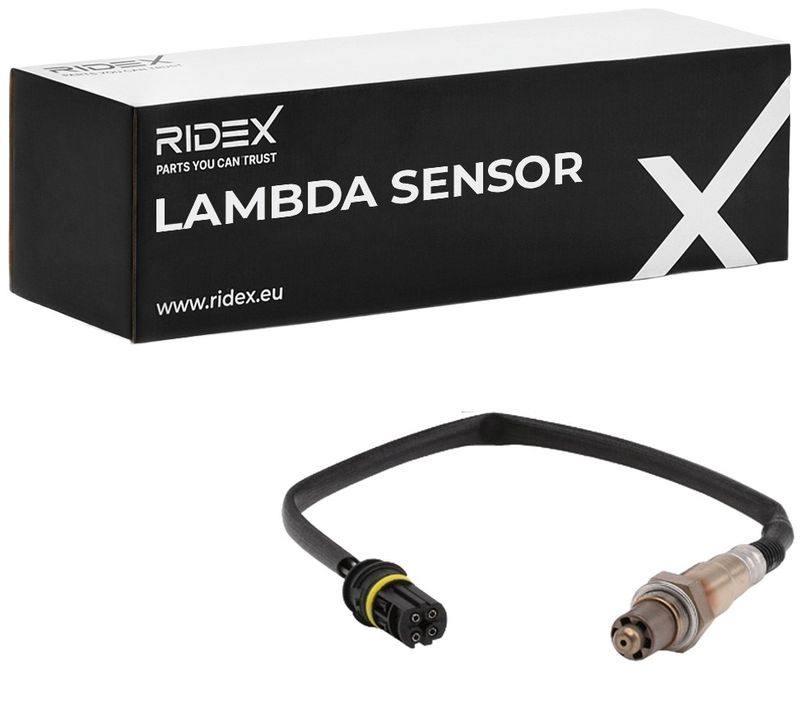 ELE-SEN-RID-BMW-NEW-0165 #4