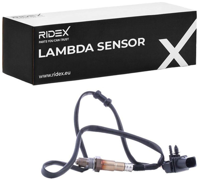 ELE-SEN-RID-BMW-NEW-0253 #2