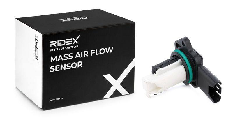 ELE-SEN-RID-BMW-NEW-0272 #3