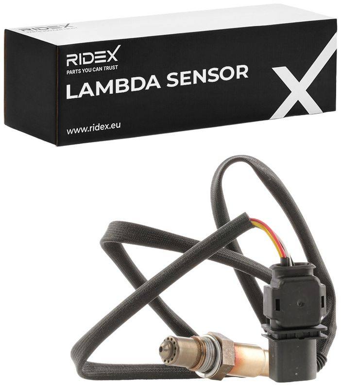 ELE-SEN-RID-BMW-NEW-0156 #4