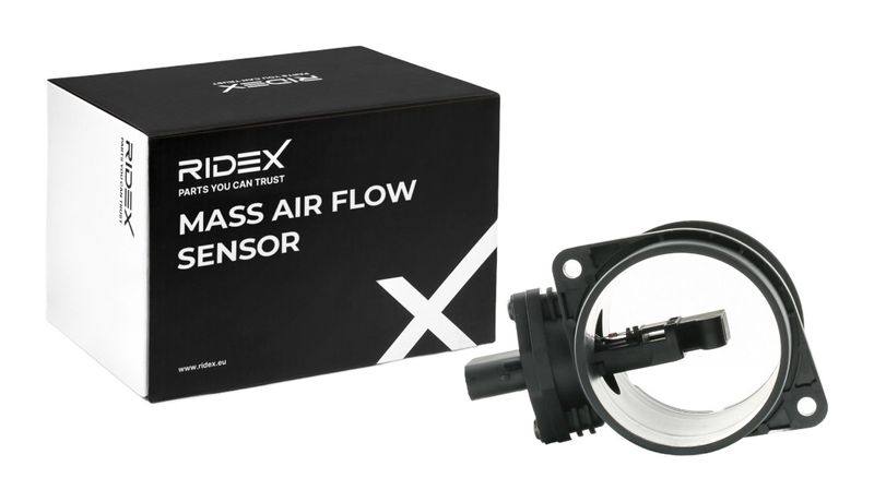 ELE-SEN-RID-BMW-NEW-0258 #4