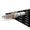 IGN-SPK-RID-BMW-NEW-0012 #1