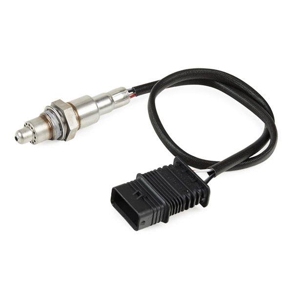 ELE-SEN-RID-BMW-NEW-0192 #2