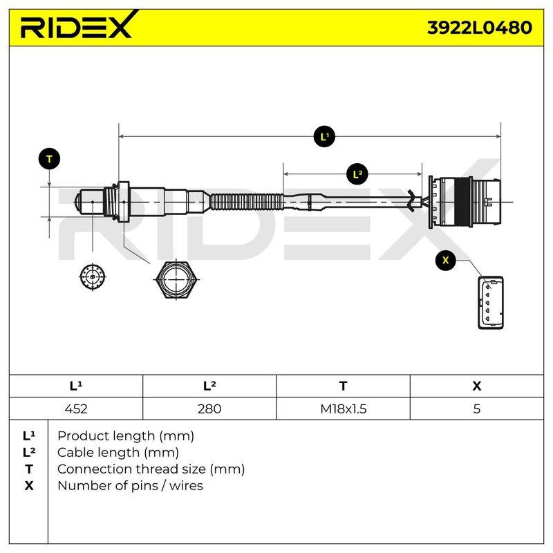 ELE-SEN-RID-BMW-NEW-0128 #1
