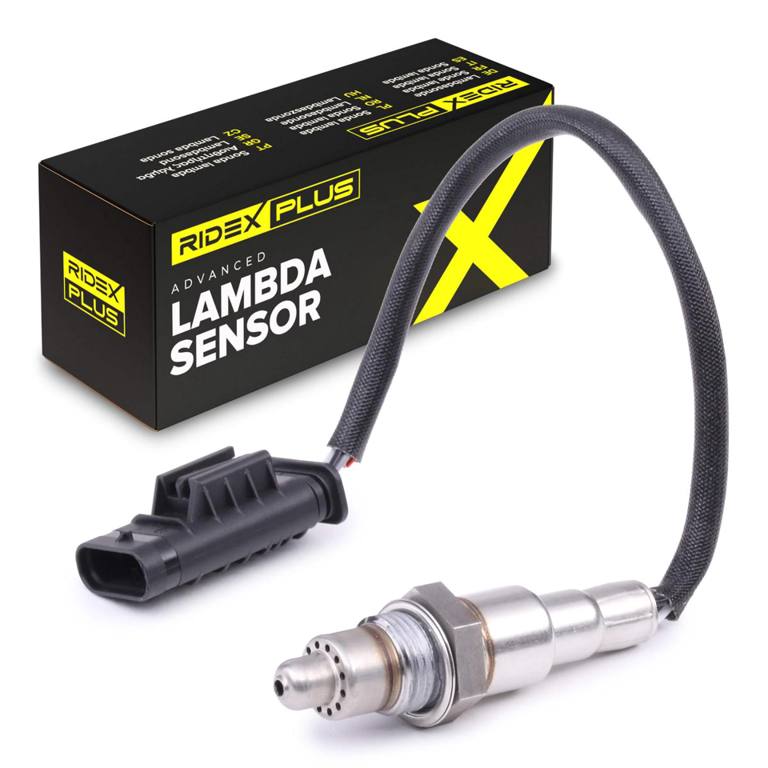 ELE-SEN-RID-BMW-NEW-0182 #1