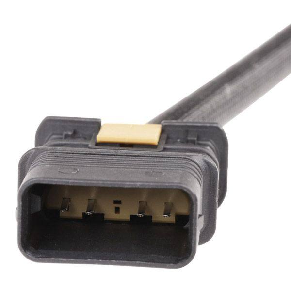 ELE-SEN-RID-BMW-NEW-0125 #2
