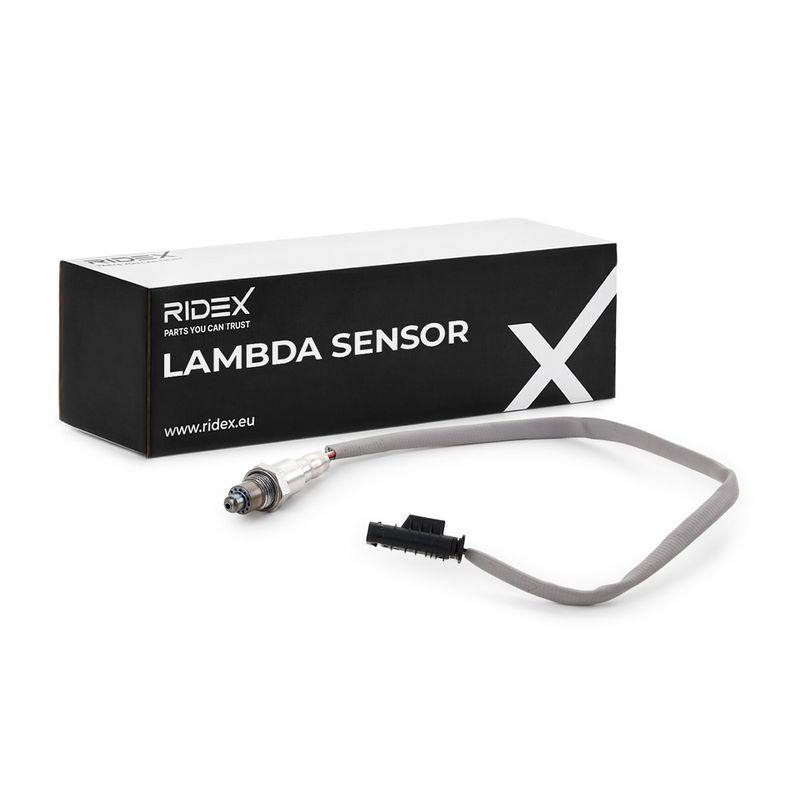 ELE-SEN-RID-BMW-NEW-0047 #2