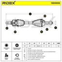 TRN-MSC-RID-CIT-NEW-0197 #1
