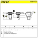 ELE-SEN-RID-BMW-NEW-0127 #2