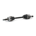 TRN-MSC-RID-KIA-NEW-0094 #1