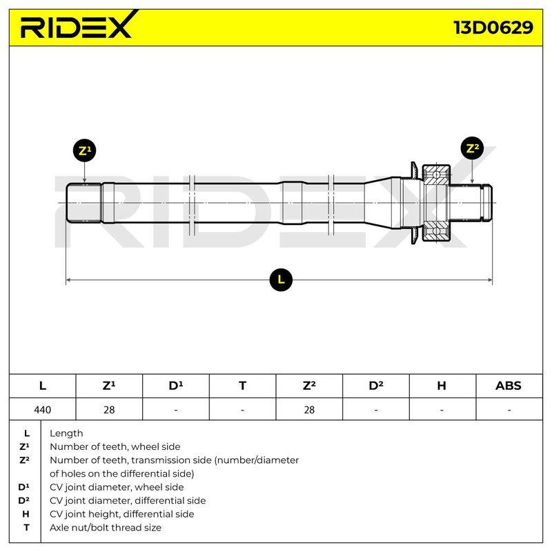 TRN-MSC-RID-KIA-NEW-0087 #2
