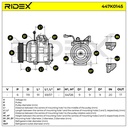 COO-MSC-RID-KIA-NEW-0075 #2