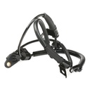 ELE-SEN-RID-KIA-NEW-0101 #1