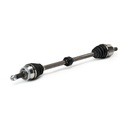TRN-MSC-RID-KIA-NEW-0040 #1