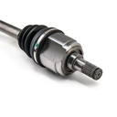 TRN-MSC-RID-KIA-NEW-0040 #4
