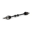 TRN-MSC-RID-KIA-NEW-0034 #1