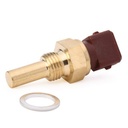ELE-SEN-RID-BMW-NEW-0203 #3