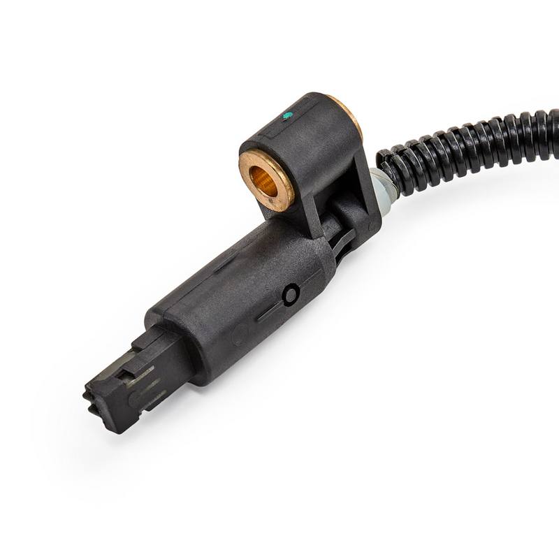 ELE-SEN-RID-BMW-NEW-0199 #2
