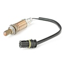 ELE-SEN-RID-BMW-NEW-0011 #2