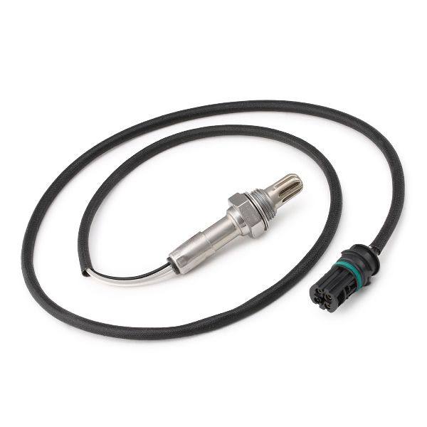 ELE-SEN-RID-BMW-NEW-0226 #1
