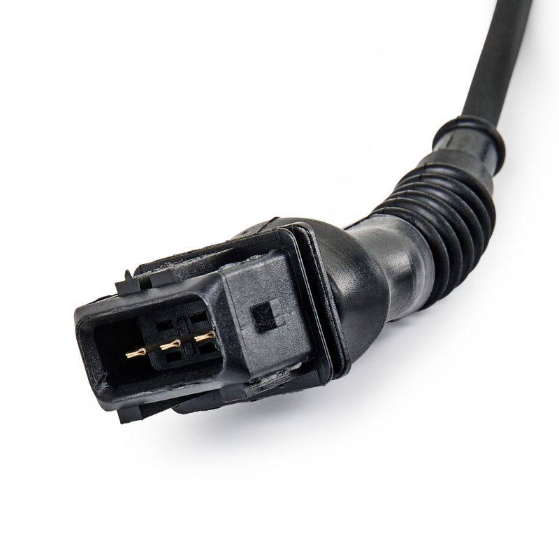ELE-SEN-RID-BMW-NEW-0197 #1