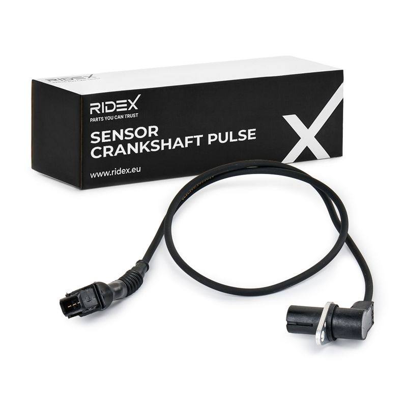 ELE-SEN-RID-BMW-NEW-0197 #2