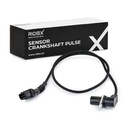ELE-SEN-RID-BMW-NEW-0197 #2