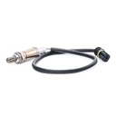 ELE-SEN-RID-BMW-NEW-0239 #1