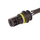 ELE-SEN-RID-BMW-NEW-0236 #1