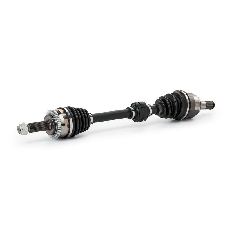 TRN-MSC-RID-KIA-NEW-0038 #2