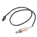 ELE-SEN-RID-BMW-NEW-0213 #4