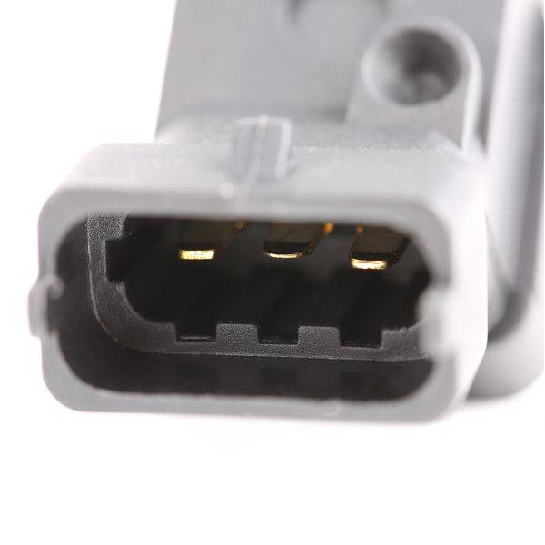 ELE-SEN-RID-BMW-NEW-0094 #1