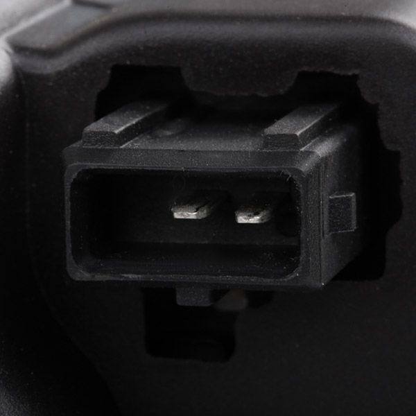 ELE-ALT-RID-BMW-NEW-0035 #4