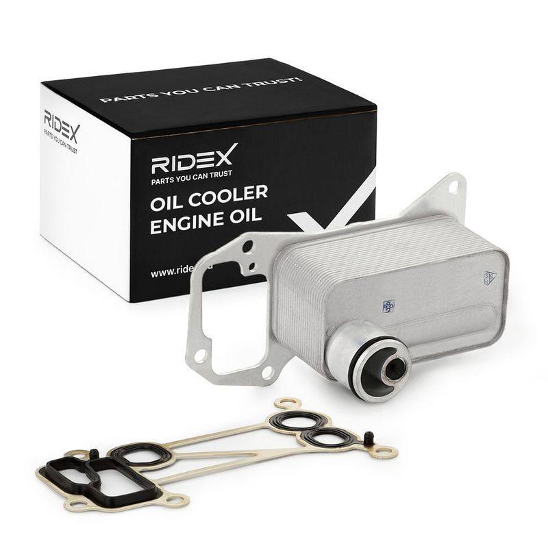 ENG-MSC-RID-BMW-NEW-0108 #3