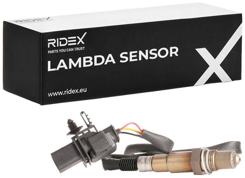 ELE-SEN-RID-BMW-NEW-0187 #3