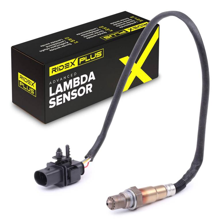 ELE-SEN-RID-BMW-NEW-0184 #2