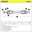TRN-MSC-RID-KIA-NEW-0092 #2