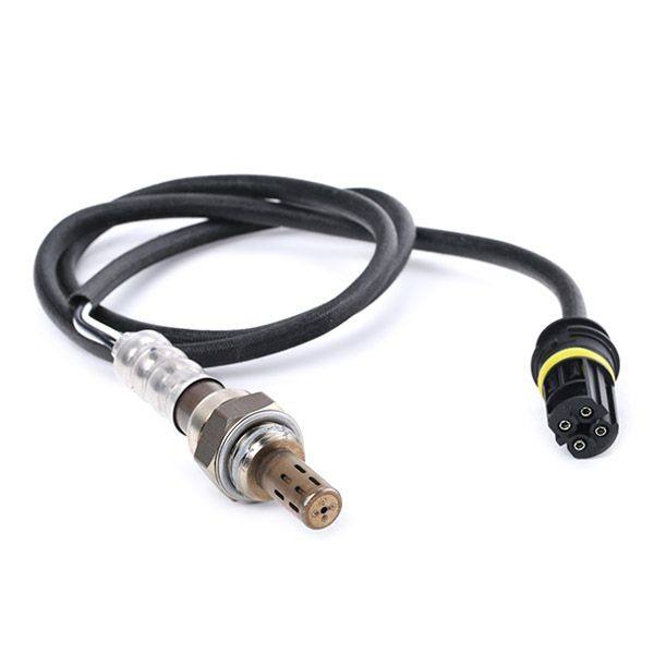 ELE-SEN-RID-BMW-NEW-0214 #4