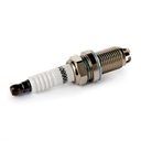IGN-SPK-RID-LAN-NEW-0002 #1