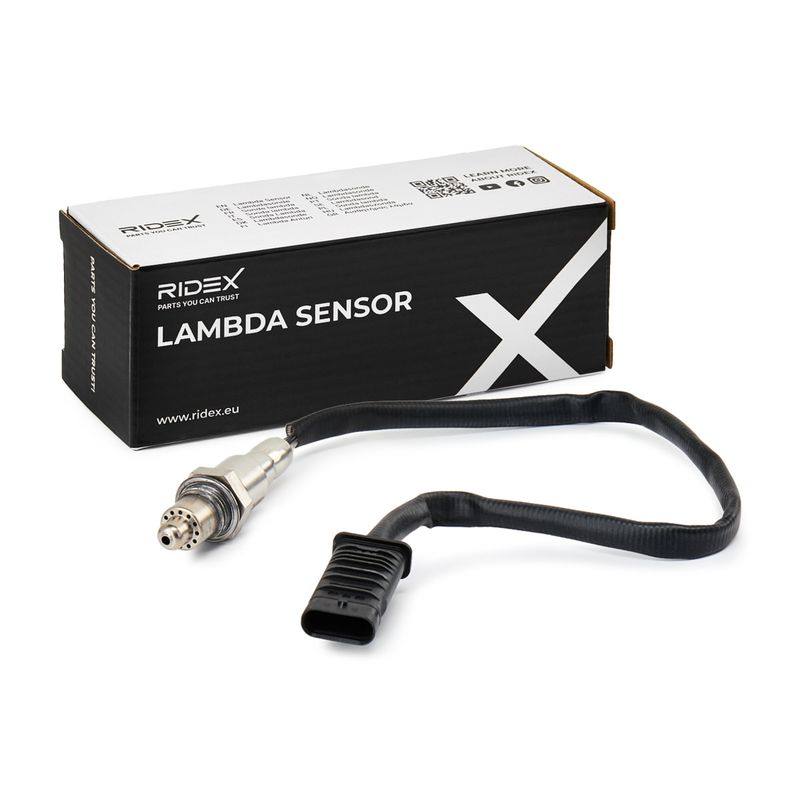 ELE-SEN-RID-BMW-NEW-0033 #1