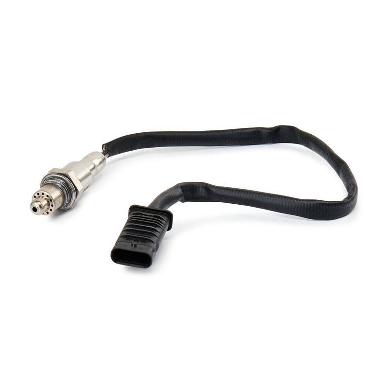 ELE-SEN-RID-BMW-NEW-0033 #2