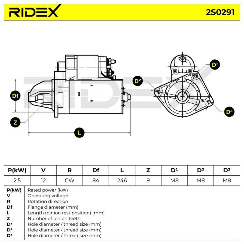 ELE-MSC-RID-REN-NEW-0116 #2