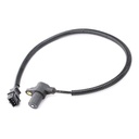 ELE-SEN-RID-CIT-NEW-0110 #2