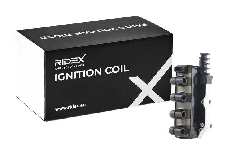 IGN-ICO-RID-LAN-NEW-0003 #3