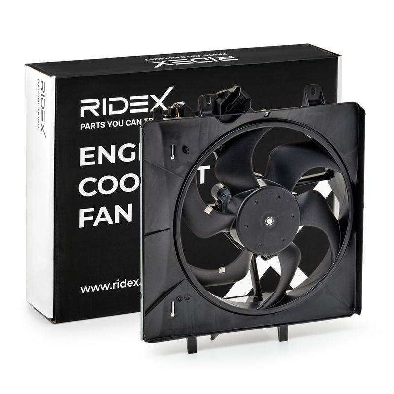 COO-CFA-RID-CIT-NEW-0003 #2