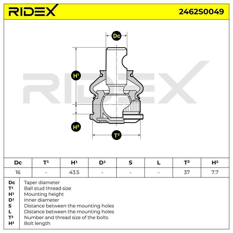 SUS-BJT-RID-LIG-NEW-0001 #3