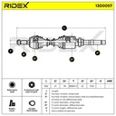 TRN-MSC-RID-CIT-NEW-0078 #4