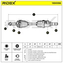 TRN-MSC-RID-TOY-NEW-0089 #2
